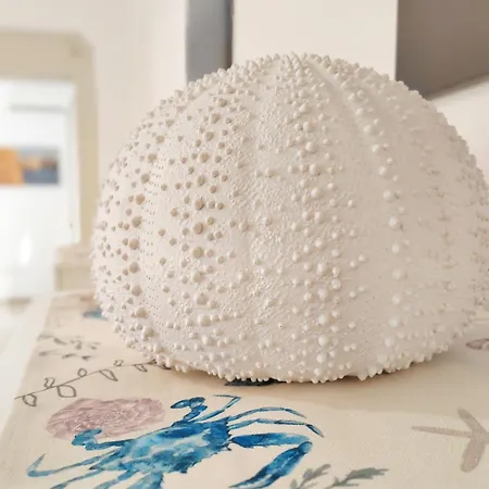 Casa vacanze Dimora Acquamarina *